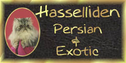 Hasselliden