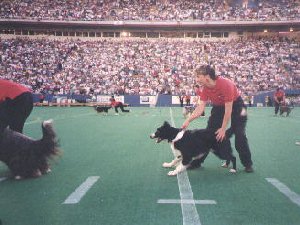 Dickens - Half Time at the Bomber Game