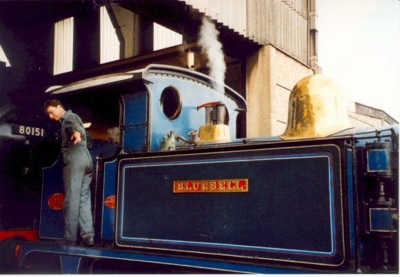 Bluebell on shed at Sheffield Park