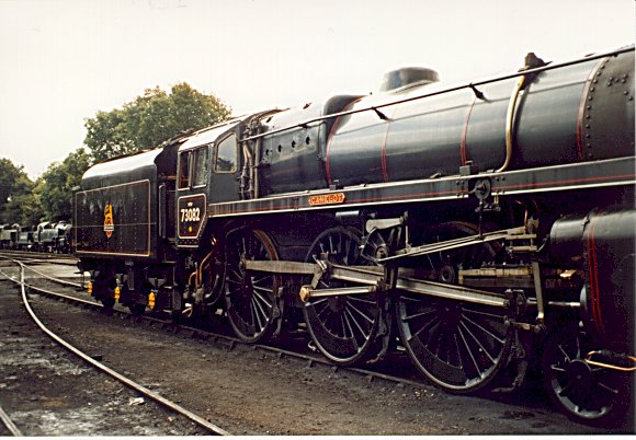 Camelot on shed at Sheffield Park