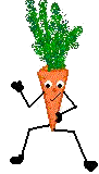 carrot