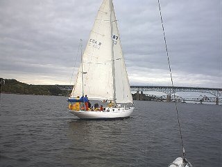 sailing2.jpg - 17497 Bytes