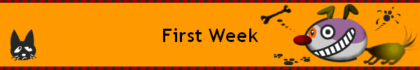 First Week