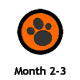 Month 2-3