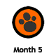 Month 5