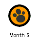 Month 5