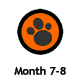 Month 7-8