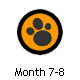 Month 7-8