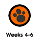 Weeks 4-6