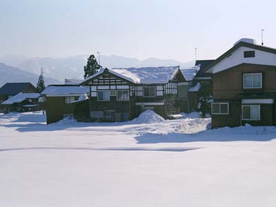 houses in snow