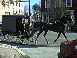 Amish Closed Buggy