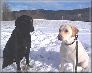 Fun in the snow