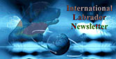 International Labrador Newsletter