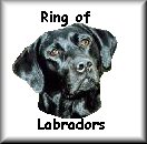 Click to join the ring
of Labrador Retrievers