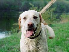 Sadie at camp