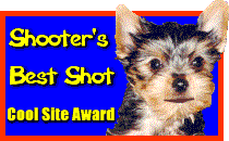 Shooter's                              Cool Site Award