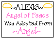 Angel of Peace Certificate