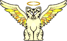 Angel Cat #1