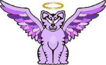 Angel Cat #3