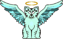 Angel Cat #5