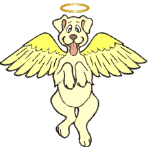 Angel Dog #1