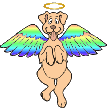 Angel Dog #2