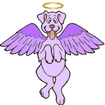 Angel Dog #3