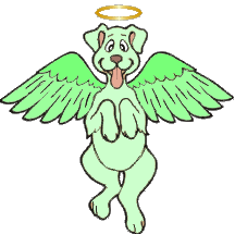 Angel Dog #4