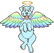 Angel Dog #5