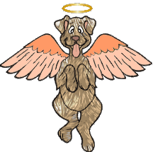 Angel Dog #6