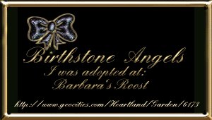 Birthstone Angel Adoptions