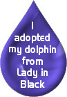 Dolphin Adoptions