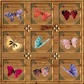 Butterfly shadowbox