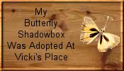 Shadowbox Adoptions