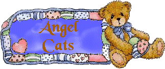 Angel Cats