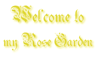 Welcome to my Rose Garden