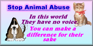 Stop Animal Abuse