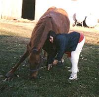 cinnamon bowing