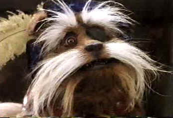 Sir Didymus