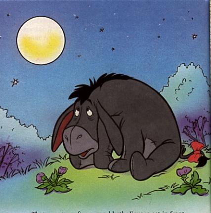 Eeyore and the Moon