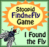 Stoopid Fly Award