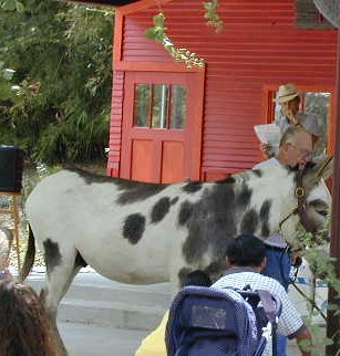 picture of Grandpa showing Dandy