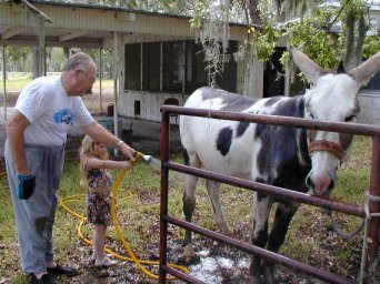 picture of Kasey and Grandpa washing Dandy