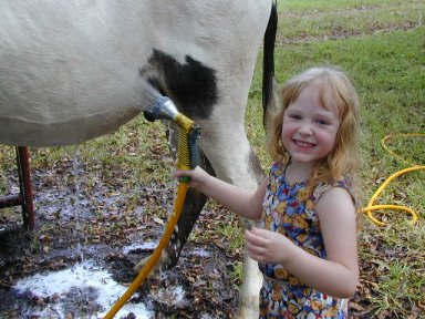 picture of Kasey washing Dandy