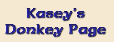 Kasey's Donkey Page