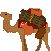 camel.gif (1055 bytes)