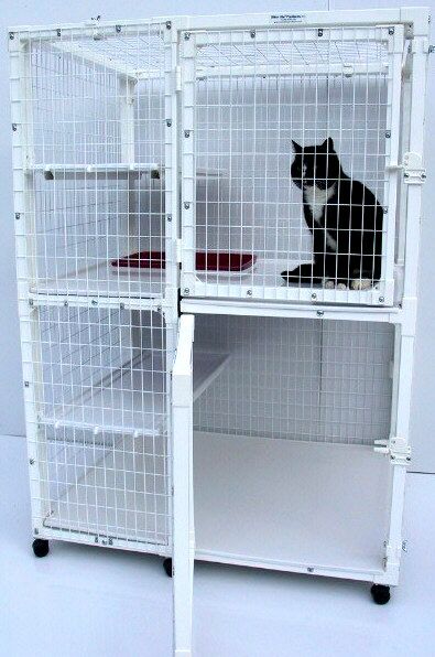 [example of a cage for uneutered male cats, cat would need toys and beding to make more comfortable.]