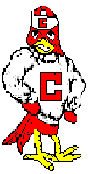 Cocky Cardinal Mascot