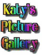 gallery.gif (11636 bytes)