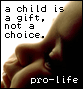 A child is a gift, not a choice - Pro-Life